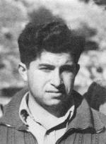 צבי מרקוס