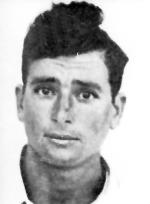 רפאל רבינוביץ